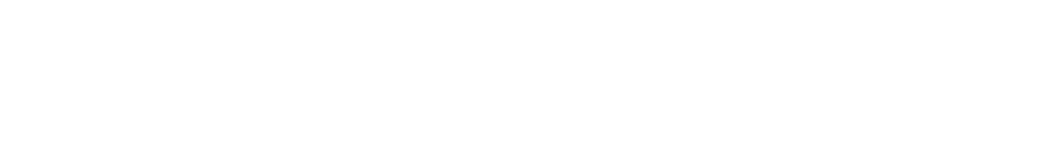 loga_pfr_2020